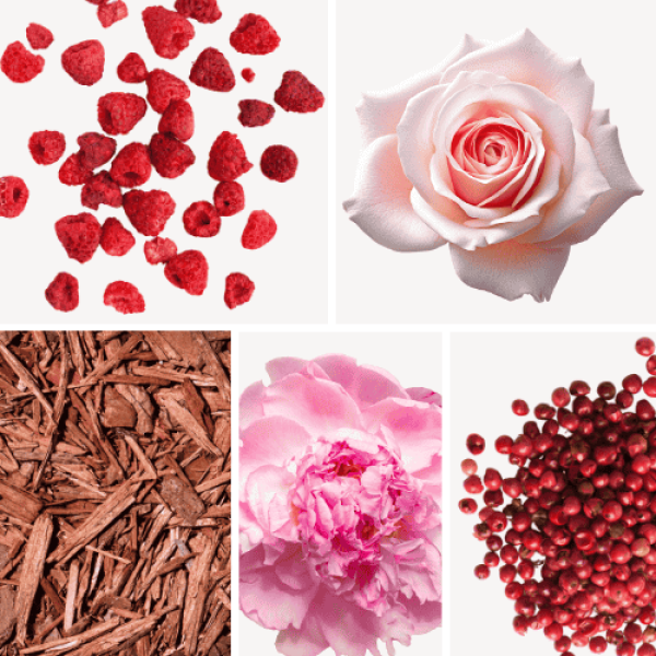 Duftnoten: Himbeere, Rose, Zedernholz, Pfingsrose, rosa Pfeffer